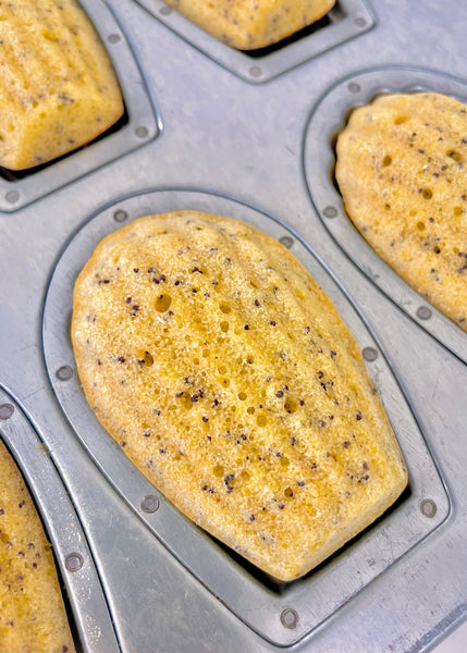 Lemon Poppy Seed Madeleines